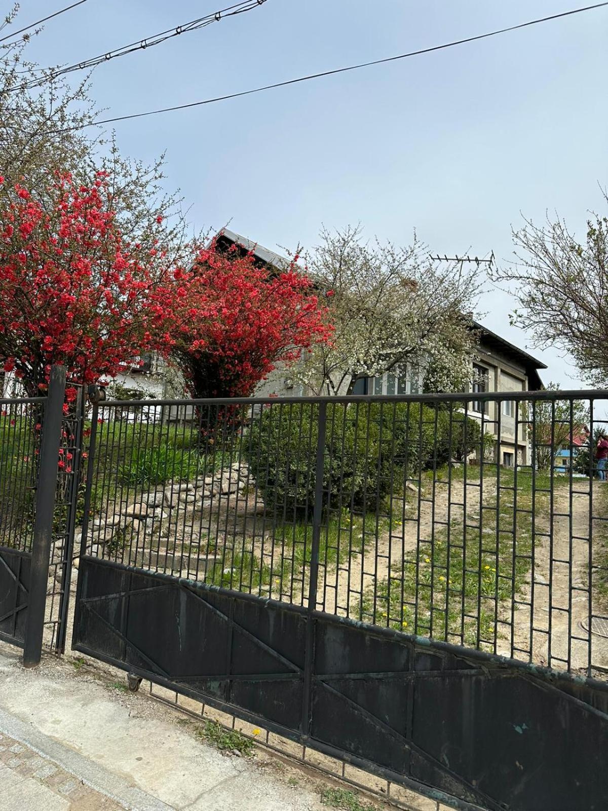 Casa Eroilor Villa Curtea de Argeş Eksteriør bilde